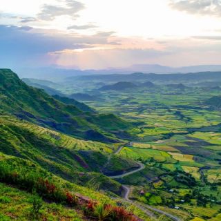 KÁVA MĚSÍCE: Ethiopia Gr. 1, Yirgacheffe, Konga, 88b. SCA. Mimořádná. Jedinečná bohatost a výjimečnost aromat a chutí: ve...
